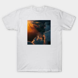 Searching for Anima T-Shirt